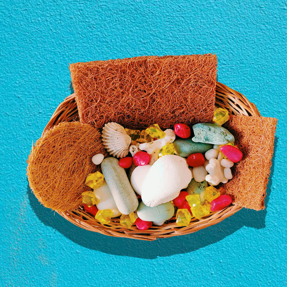 EcoVibes | natural coconut coir scrubber