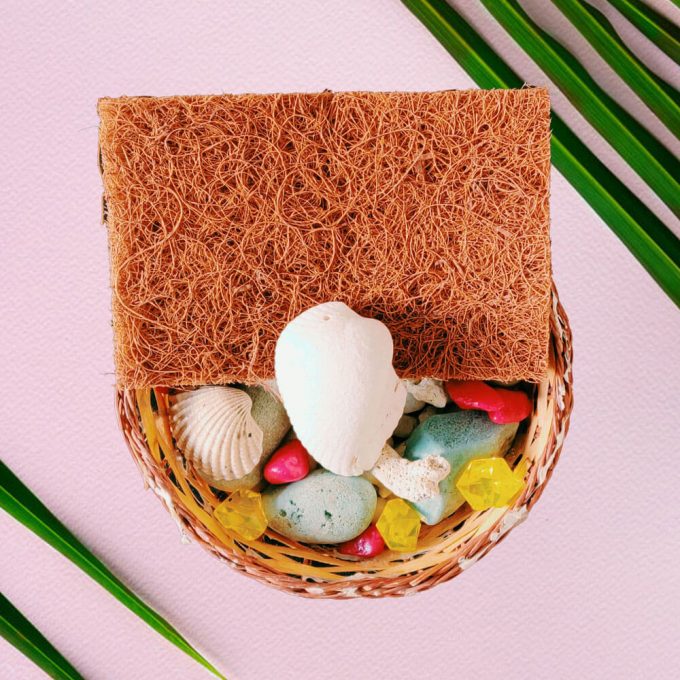 EcoVibes | natural coconut dish washing scrubber