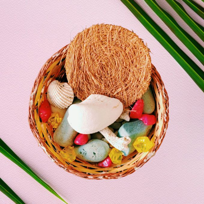 EcoVibes | natural coconut dish washing scrubber round EcoVibes | natural coconut dish washing scrubber round