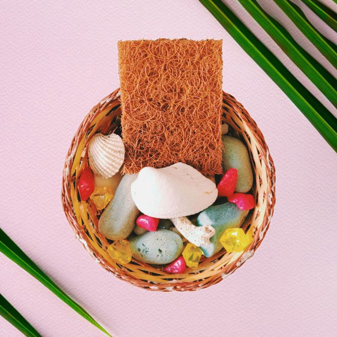 EcoVibes | natural coconut dish washing scrubber